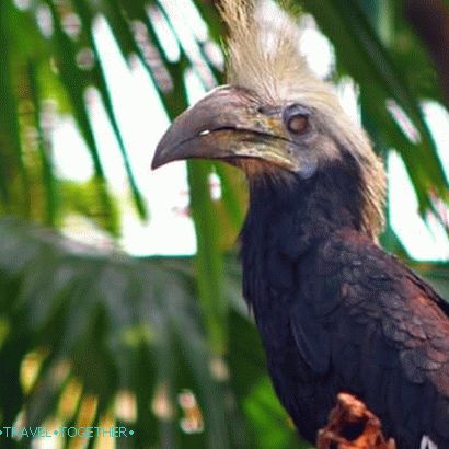 Zoo Phuket