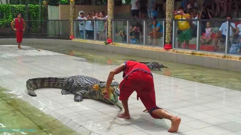 Zoo Phuket