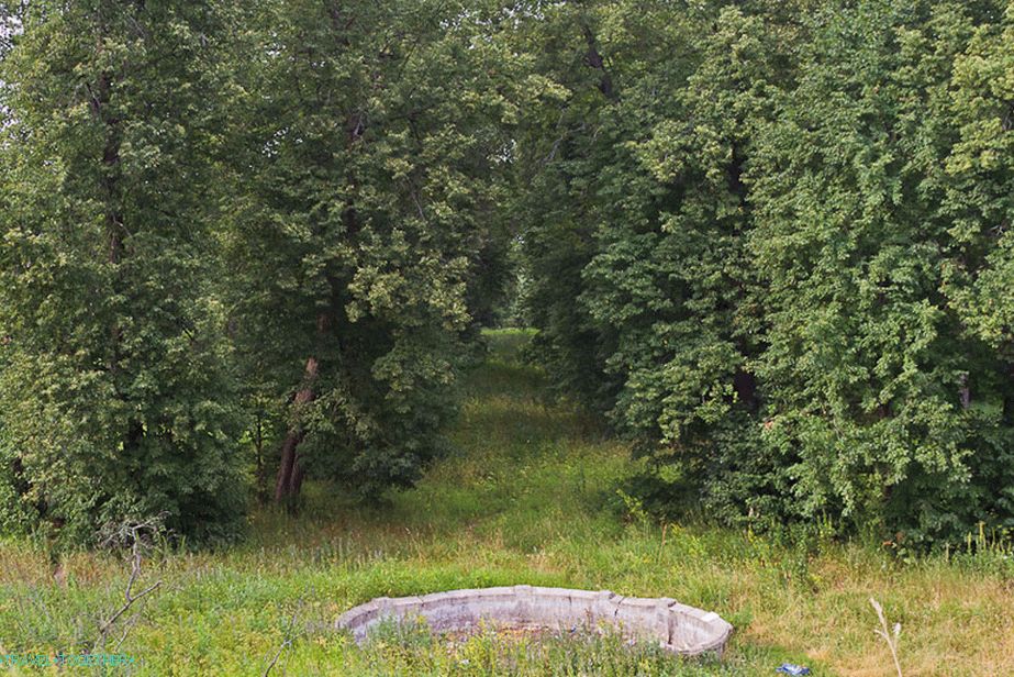 Linden Alley vedoucí k řece