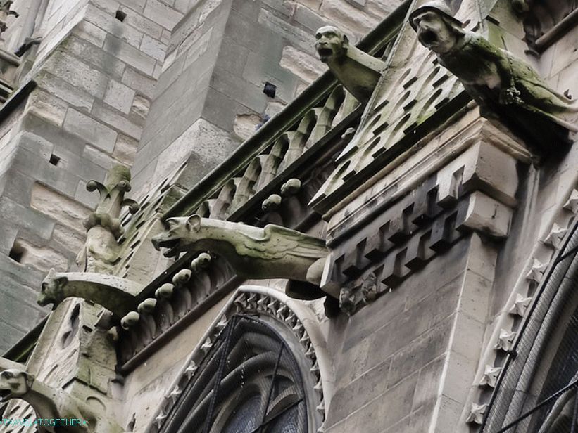 Notre Dame de Paris. Proč se jedna postava liší od ostatních?