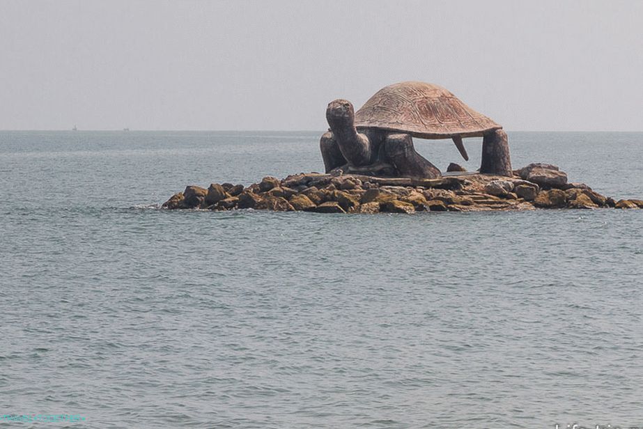 Ostrov s želvou