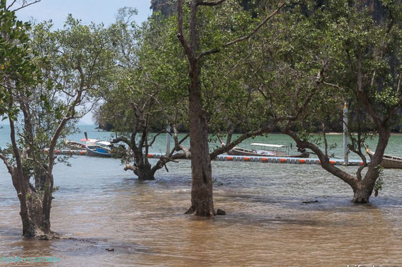 East Riley Technical Beach