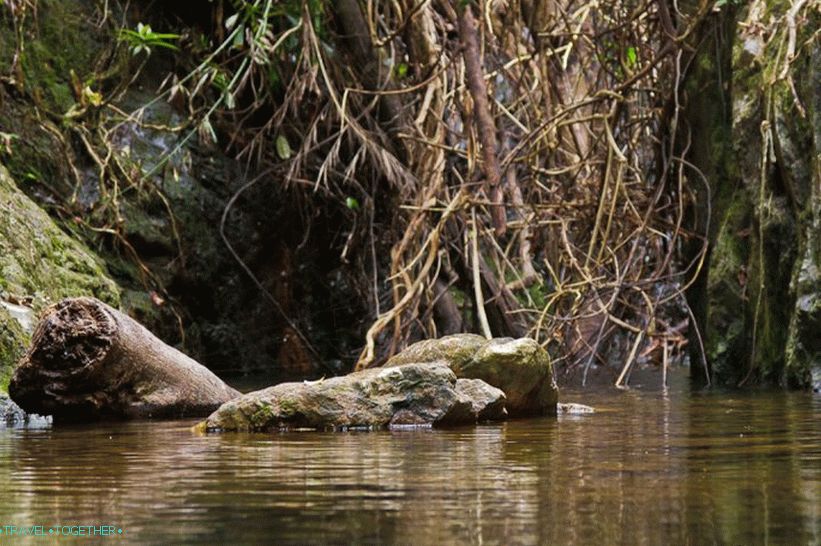 Vodopád Klong Chao Luam - skutečná příroda a džungle!