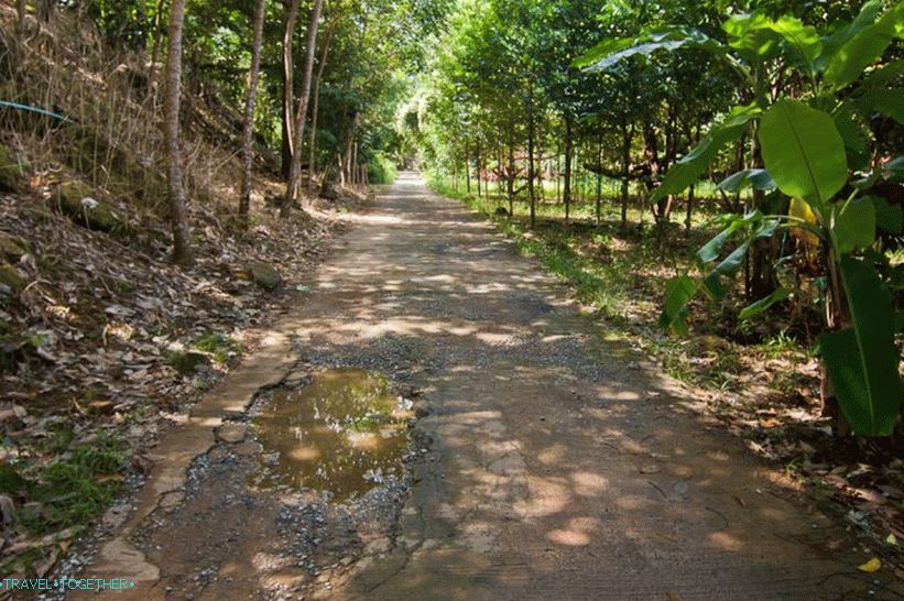 Cesta k vodopádům Tang Mayom