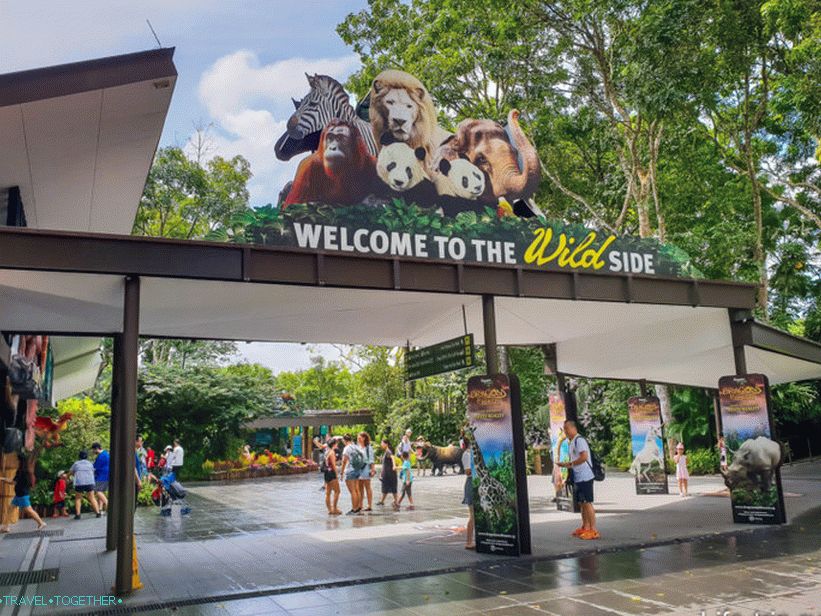 Zoo v Singapuru Manday