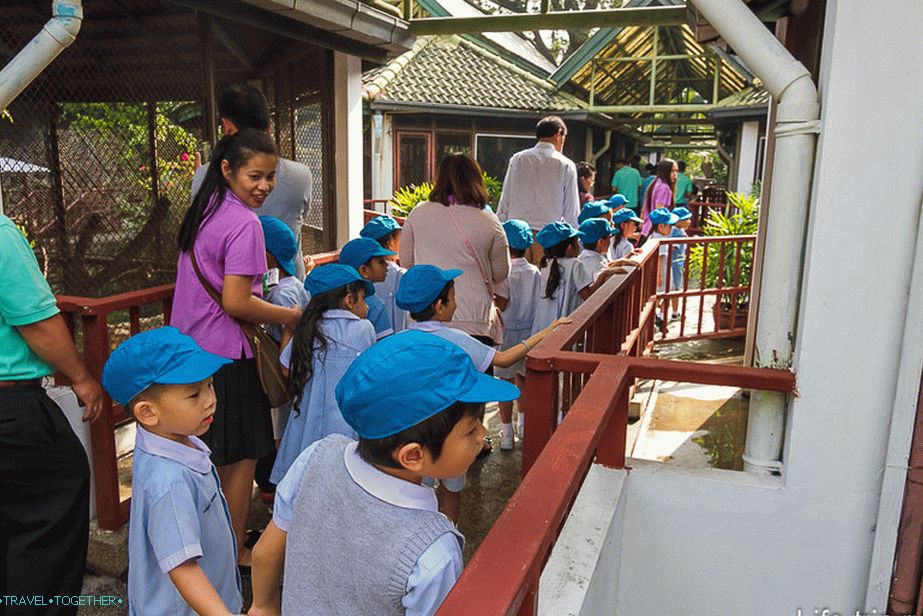 Thajská školka na procházce